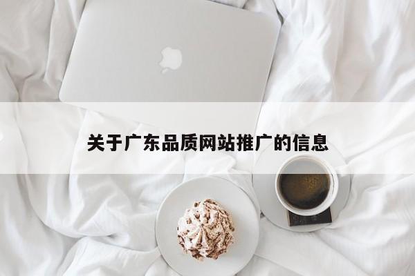 關(guān)于廣東品質(zhì)網(wǎng)站推廣的信息