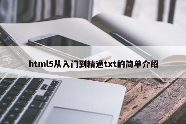 html5從入門到精通txt的簡單介紹