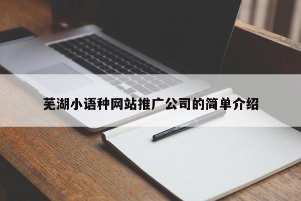 蕪湖小語種網(wǎng)站推廣公司的簡單介紹