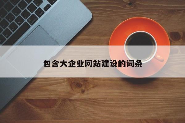 包含大企業(yè)網(wǎng)站建設(shè)的詞條