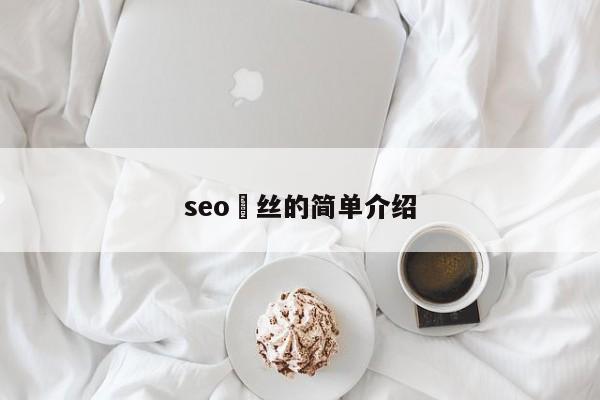 seo屌絲的簡單介紹