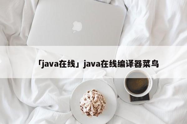 「java在線」java在線編譯器菜鳥(niǎo)